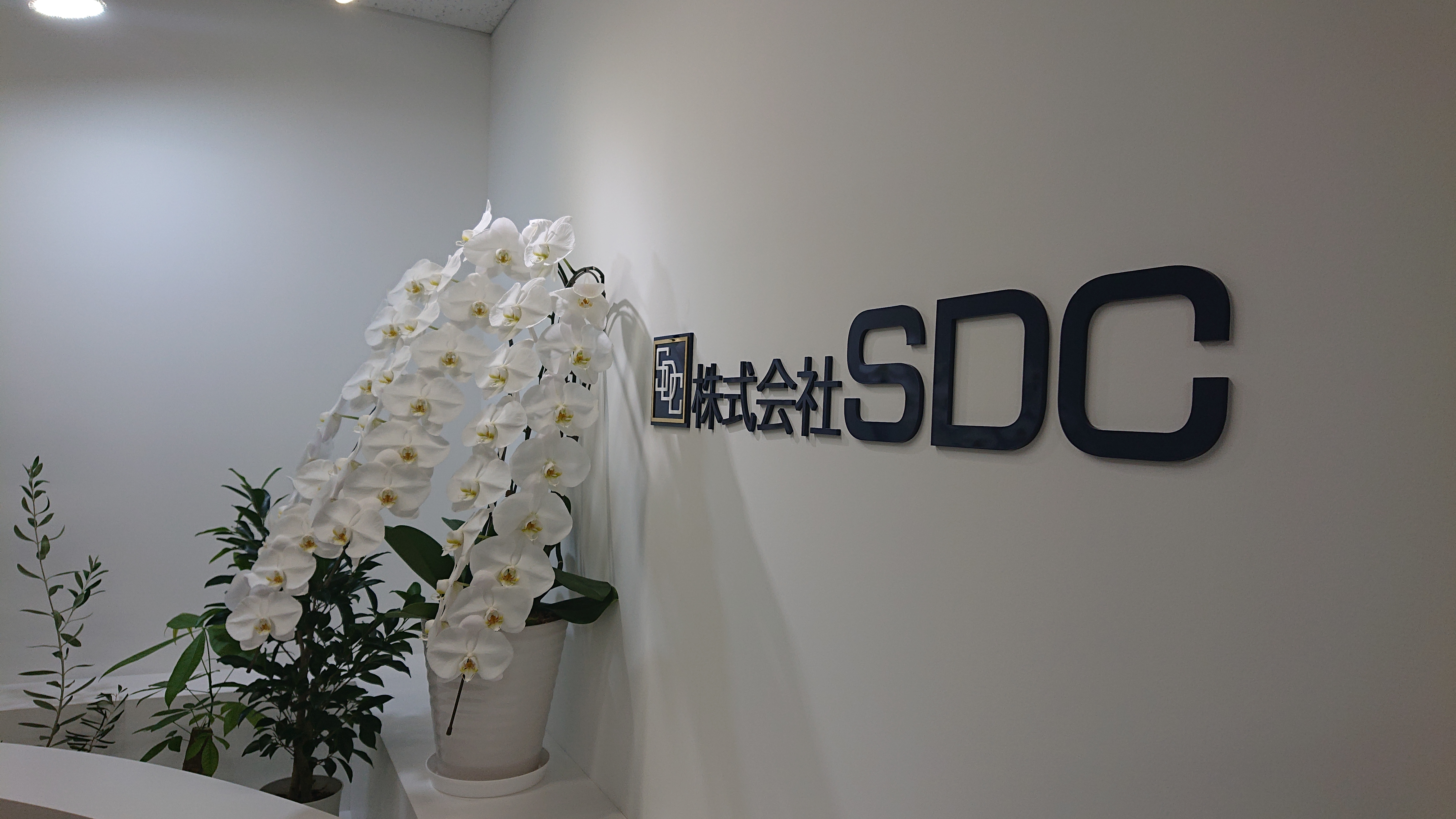 会社関連の写真