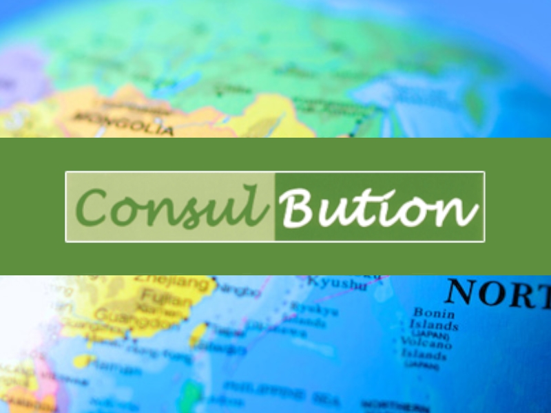 コンサルビューション株式会社