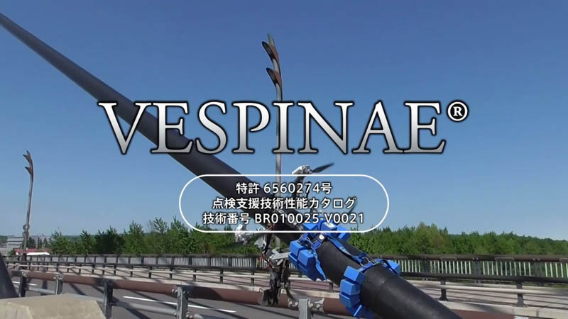 Vespinae紹介動画