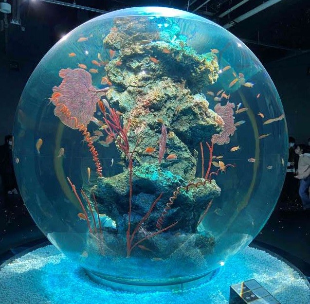 【クリランの推し】五感で感じる劇場型アクアリウム「アトア（átoa）」